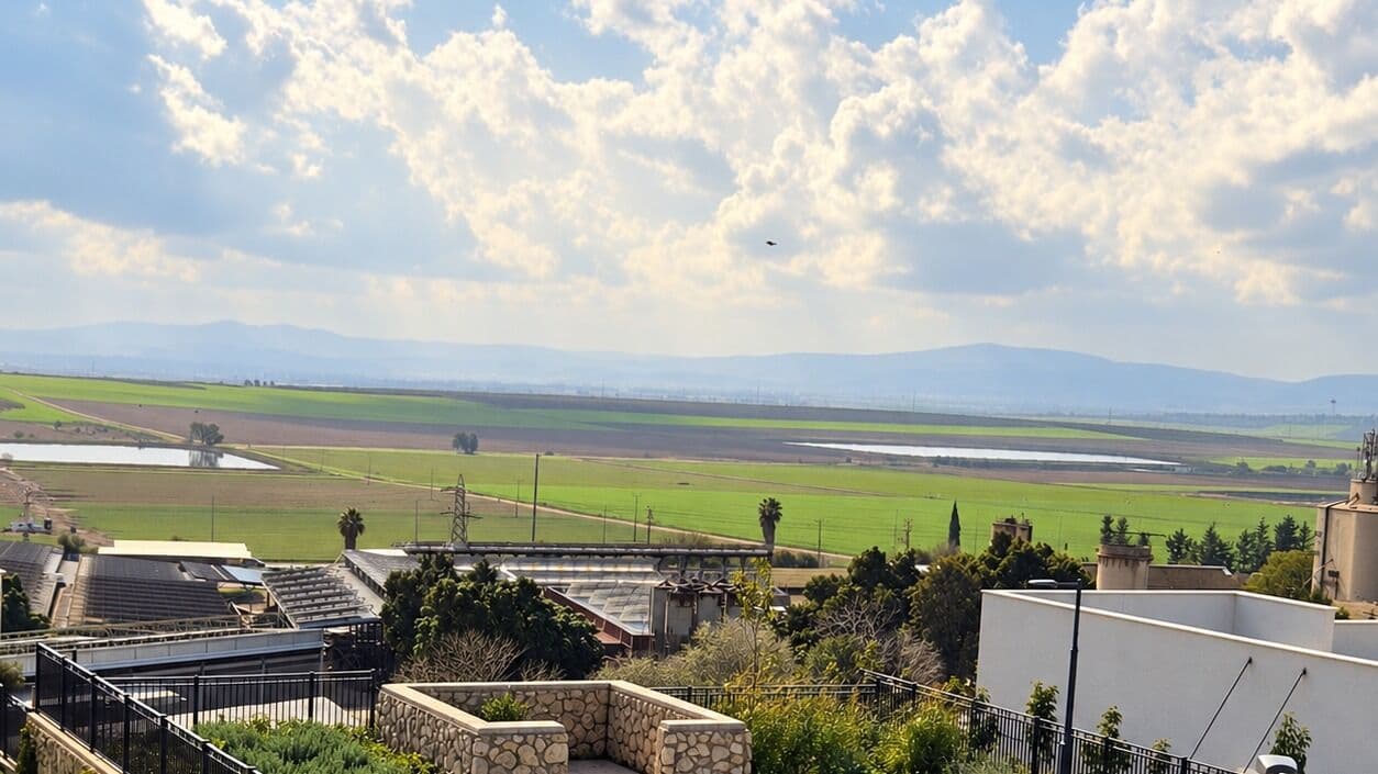 View from the balcony of the Between the Forest and the Fields studio looking out over the Jezreel Valley fields
