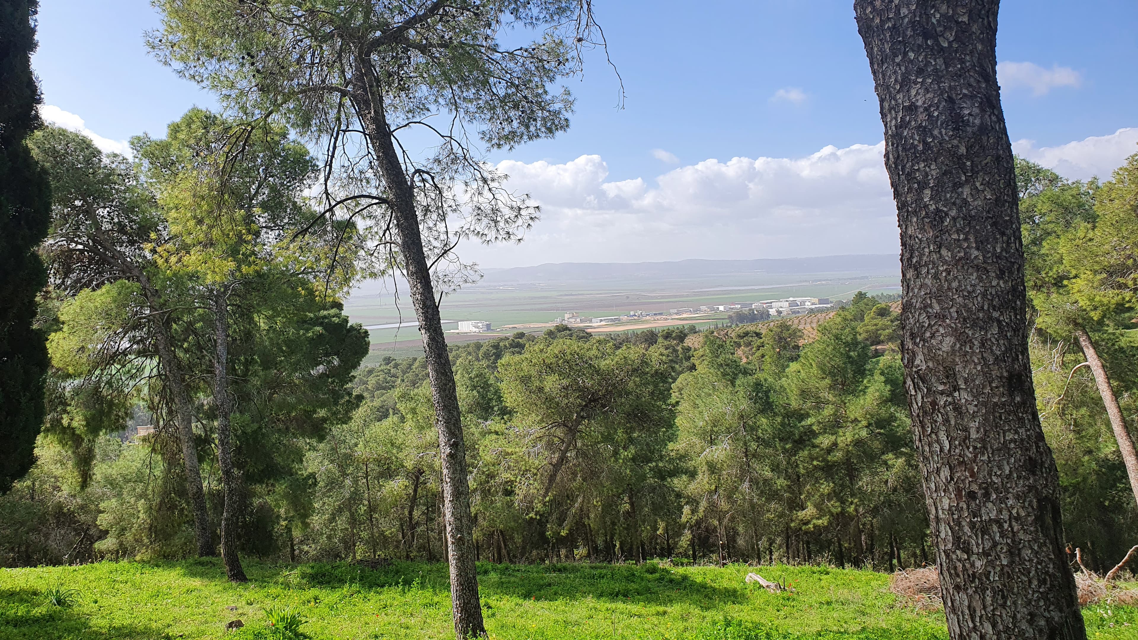 פנים הסטודיו